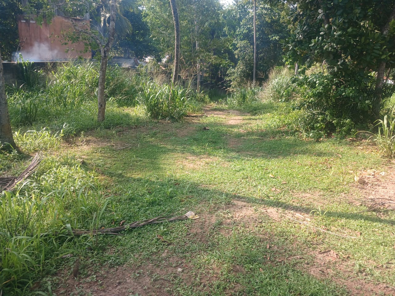 international tourists throughout the year. This property offers excellent investment potential with growing tourism development in the Southern coastal region.

📞 Please contact only genuine buyers.
Price is negotiable after inspection.

#LandForSale #Balapitiya #MaduRiver #WaterfrontLand #SriLankaProperty #CabanaProject #TourismInvestment #RiverfrontProperty #RealEstateSriLanka #InvestmentProperty #BalapitiyaLand #PropertyForSale #EcoTourism #SriLankaRealEstate